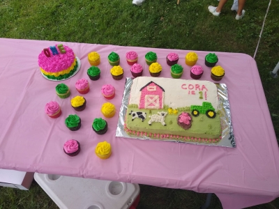Baby Shower Farm Birthday Display 03